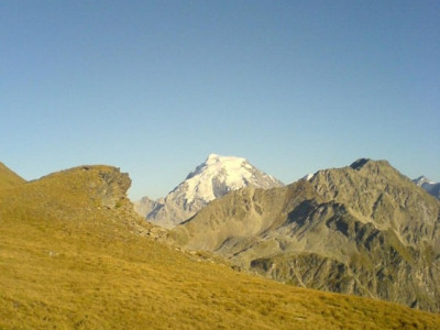 2007