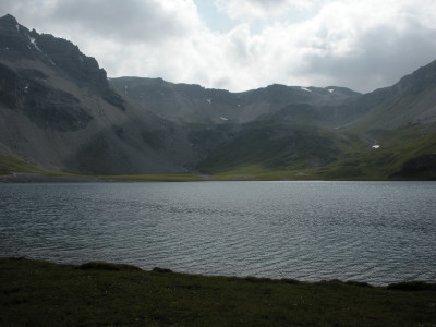 2009