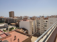 dsc09541
